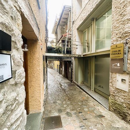 Apartamento Duplex En El Corazon De Camprodon, La Rovira Екстер'єр фото
